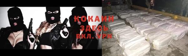 spice Алексин