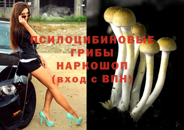 spice Алексин