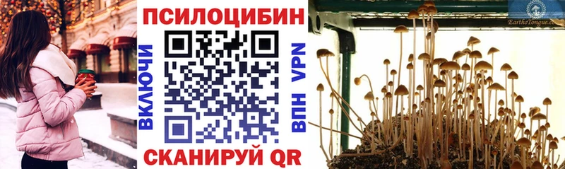 Галлюциногенные грибы Cubensis что такое Завитинск